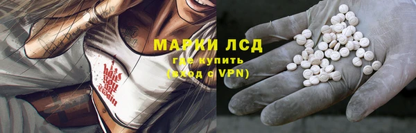 стаф Алзамай