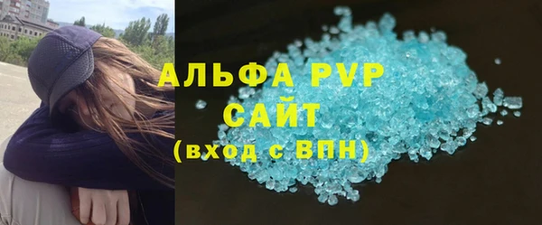 стаф Алзамай