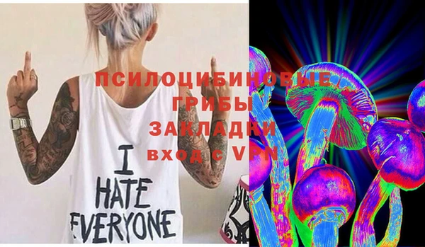мяу мяу мука Алексин