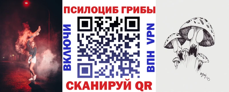 Псилоцибиновые грибы Cubensis  Десногорск 